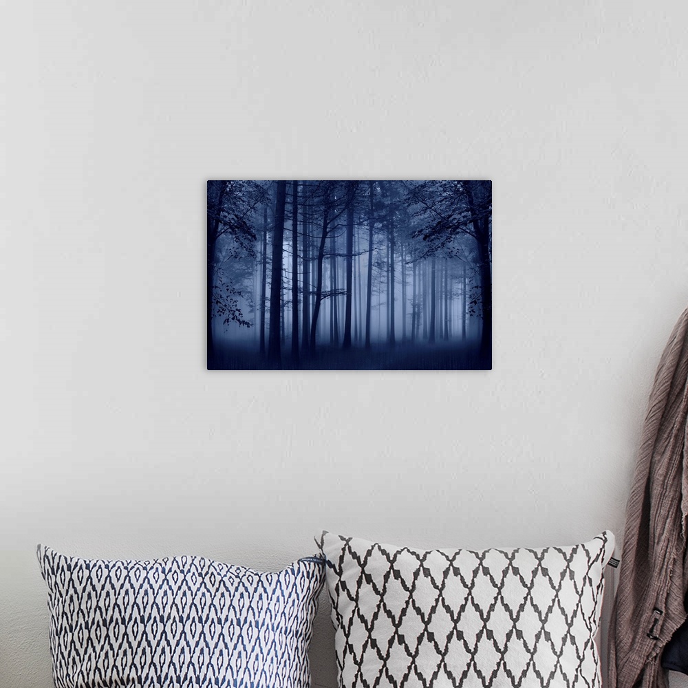 A bohemian room featuring Trees Blue