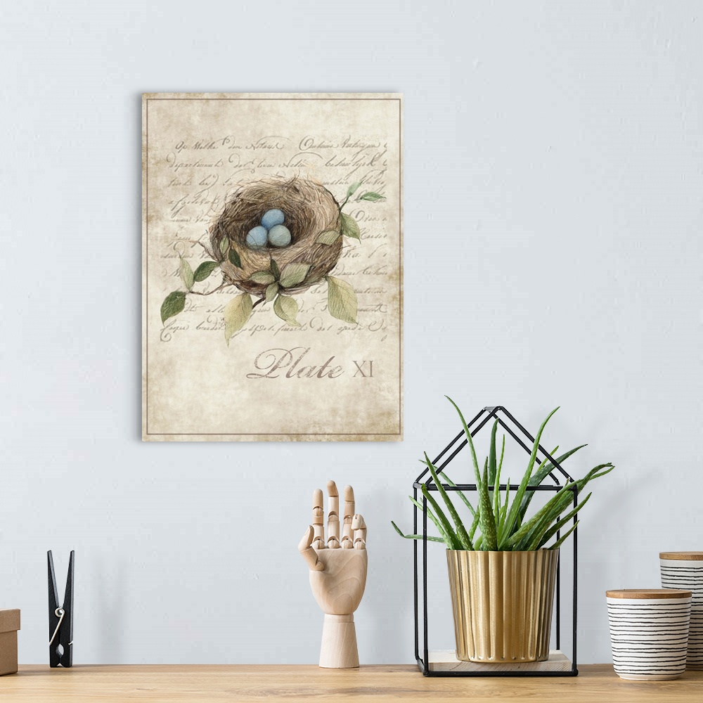 A bohemian room featuring Botanical parchment study of bird nest adds elegant, nature-inspired touch to any room.