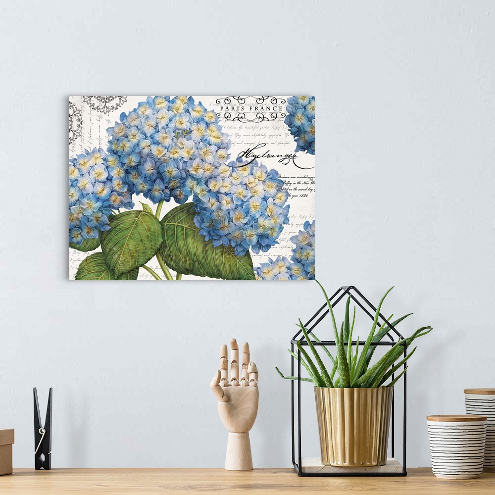 A bohemian room featuring Big, horizontal home art docor of a bunch of vibrant hydrangea flowers on a neutral background wi...