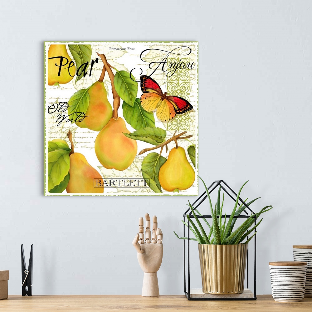 A bohemian room featuring Square painting of elegant botanical fruit on a neutral background with various patterns over top.
