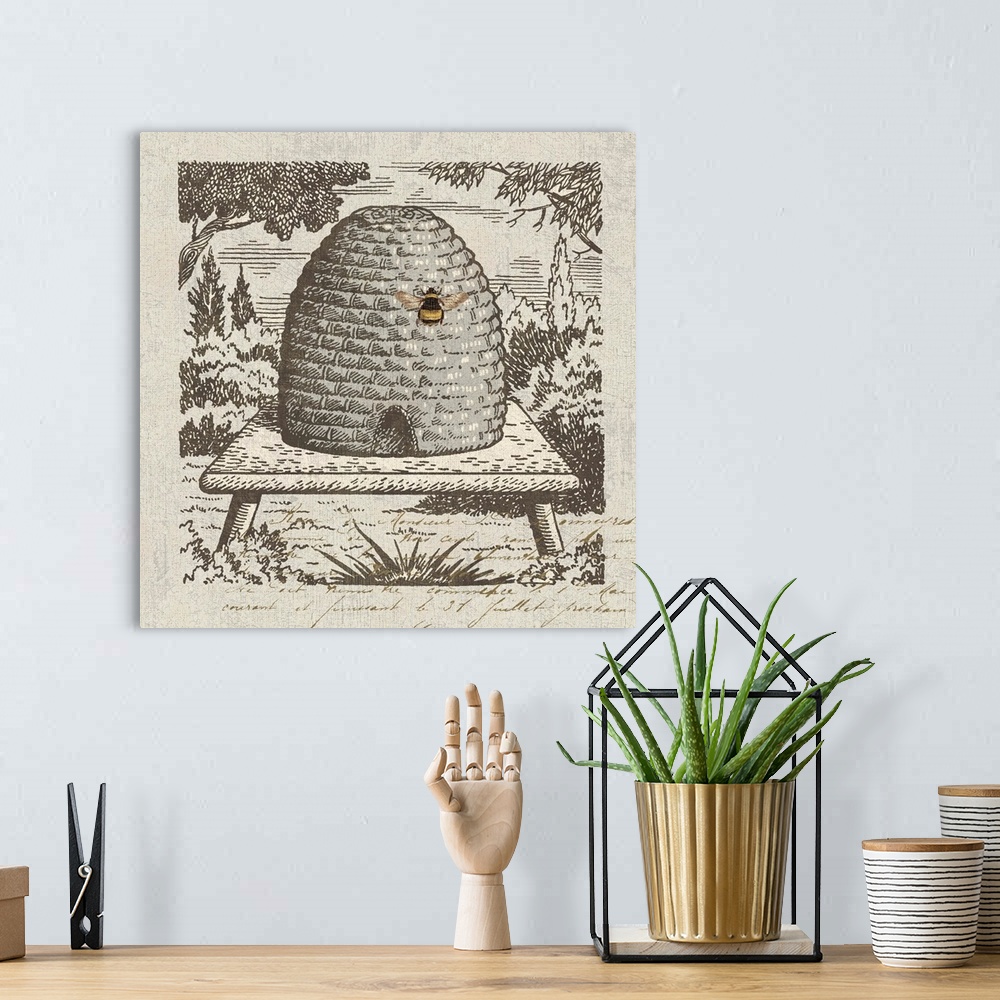 A bohemian room featuring Lovely monochromatic bee skep makes for a beautiful accent design.
