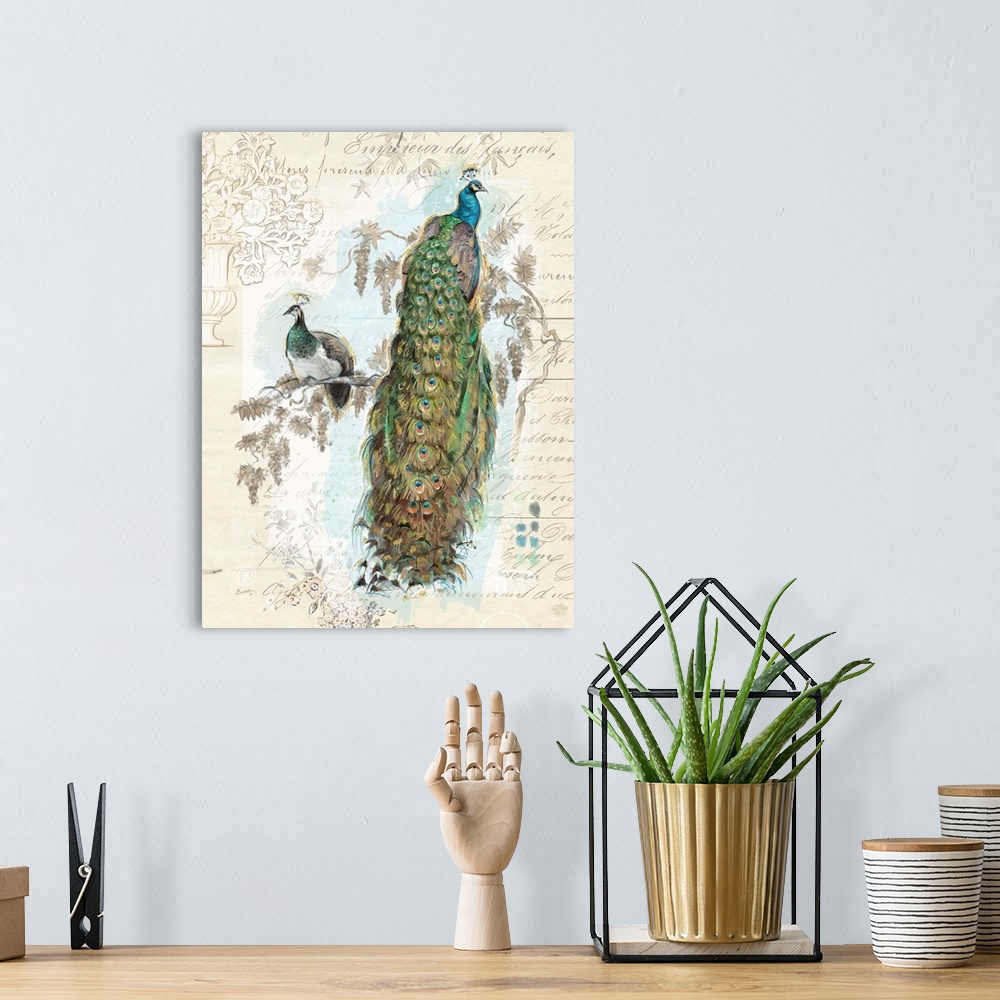 A bohemian room featuring The elegant peacock shows its plumage in this stunning depiction.