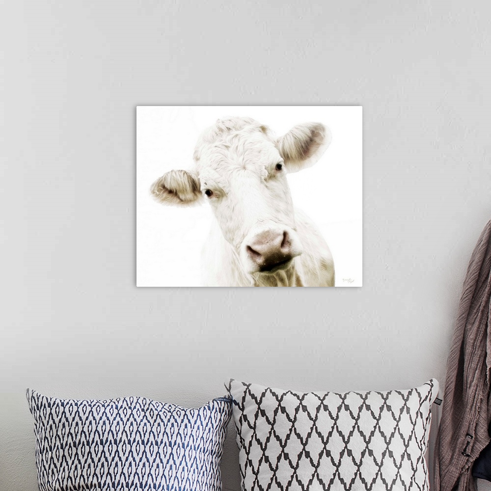 A bohemian room featuring Cow V