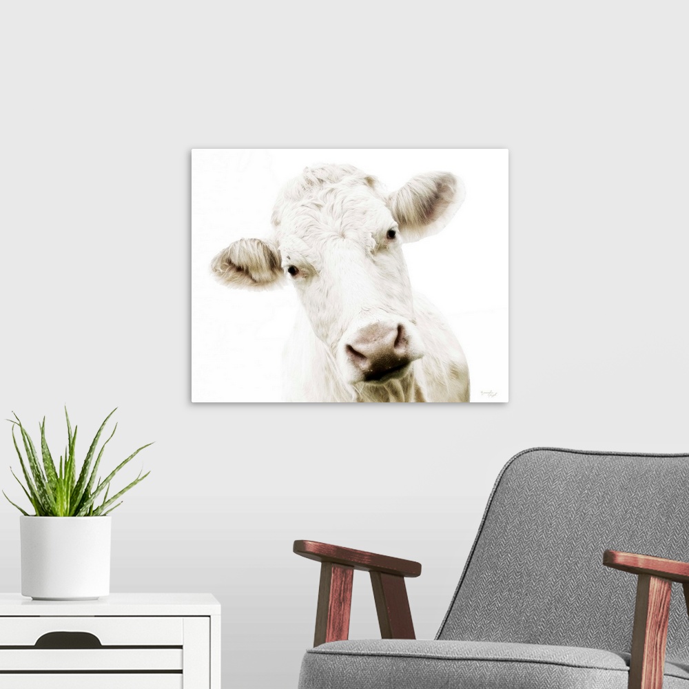 A modern room featuring Cow V