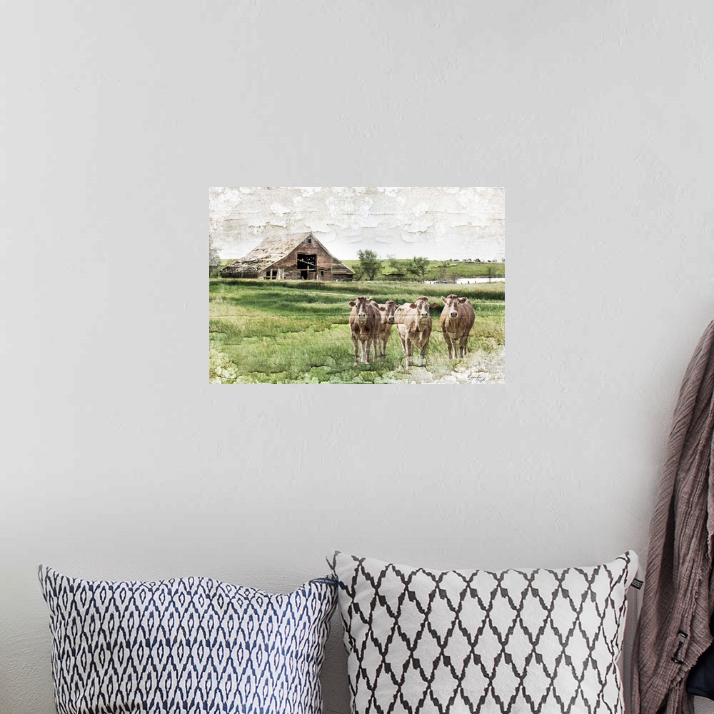 A bohemian room featuring Cows
