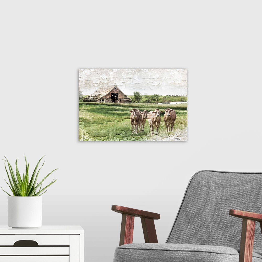 A modern room featuring Cows