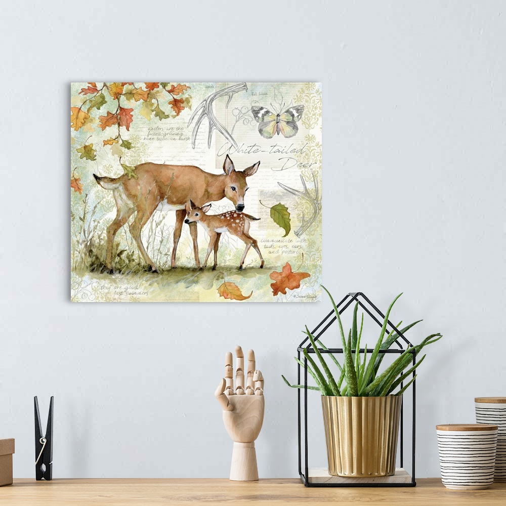 A bohemian room featuring A field guide rendering of a touching deer and fawn scene