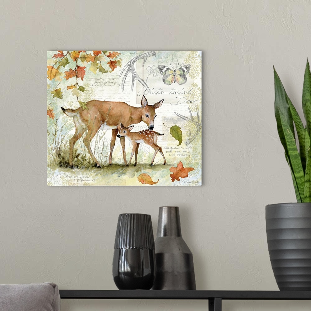 A modern room featuring A field guide rendering of a touching deer and fawn scene