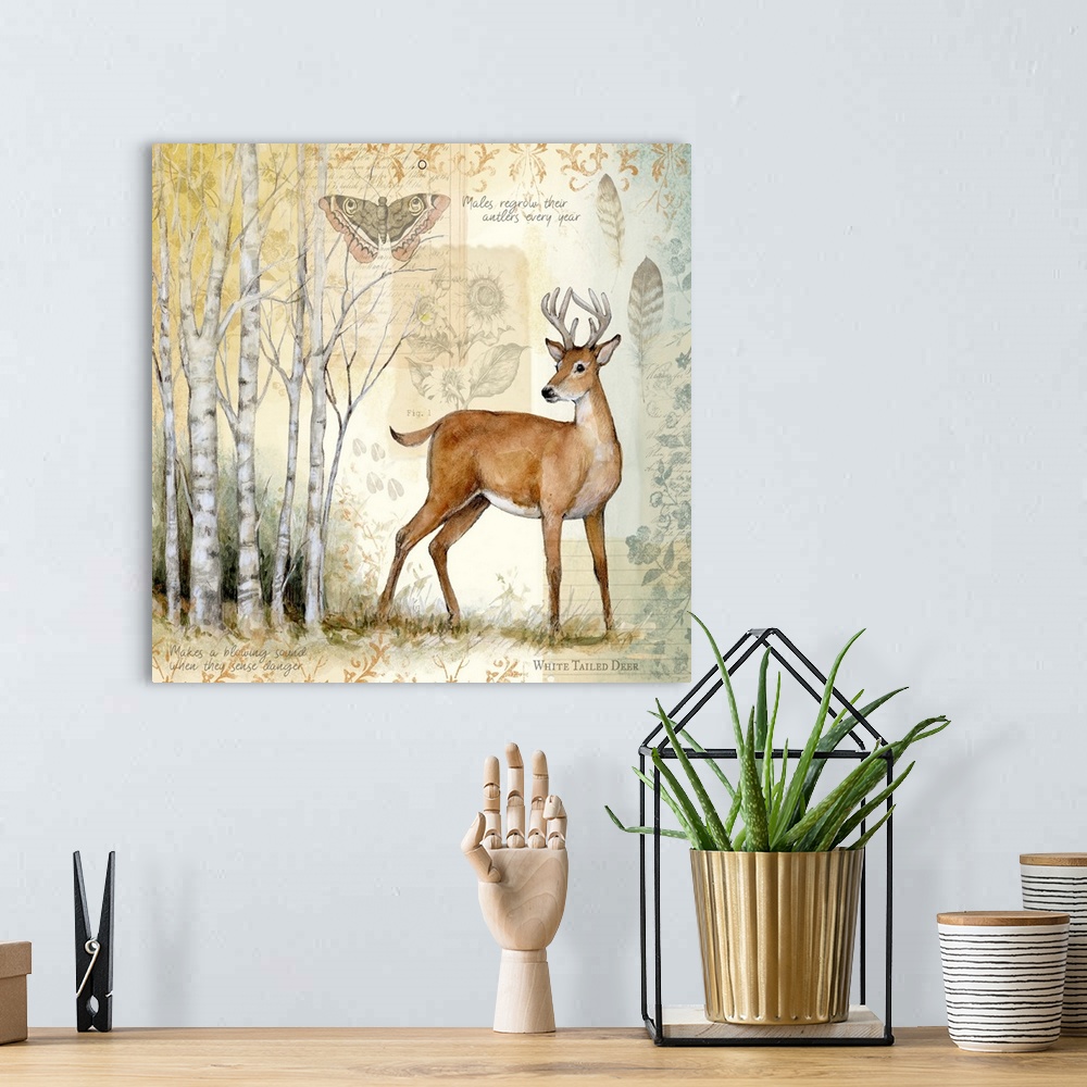 A bohemian room featuring A woodsy scene of birch trees and deer brings the outdoors in.