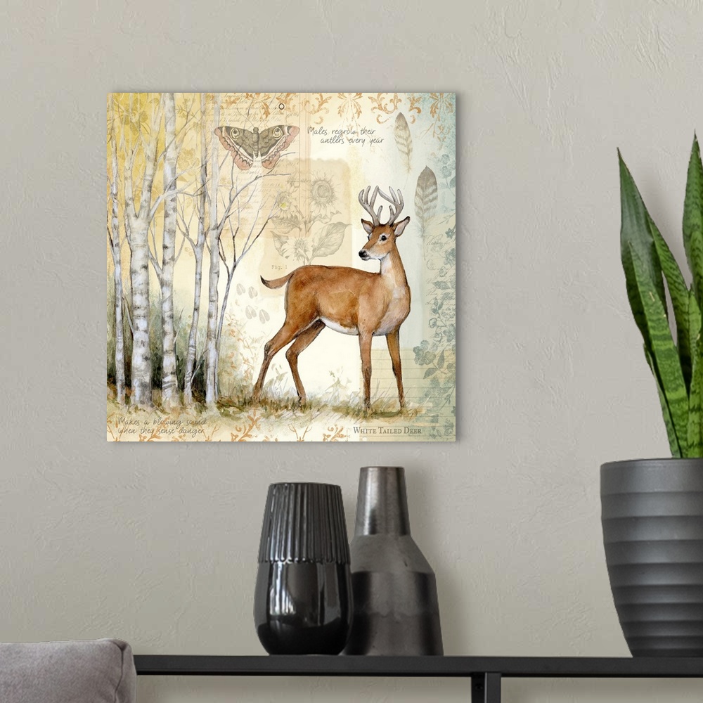 A modern room featuring A woodsy scene of birch trees and deer brings the outdoors in.