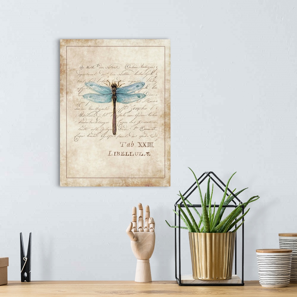 A bohemian room featuring Botanical parchment study of dragonfly adds elegant, nature-inspired touch to any room.