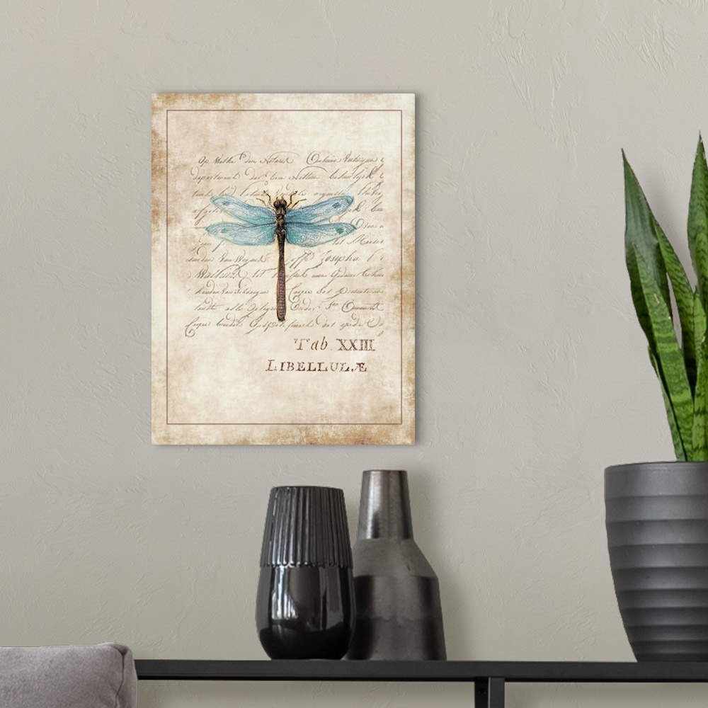 A modern room featuring Botanical parchment study of dragonfly adds elegant, nature-inspired touch to any room.