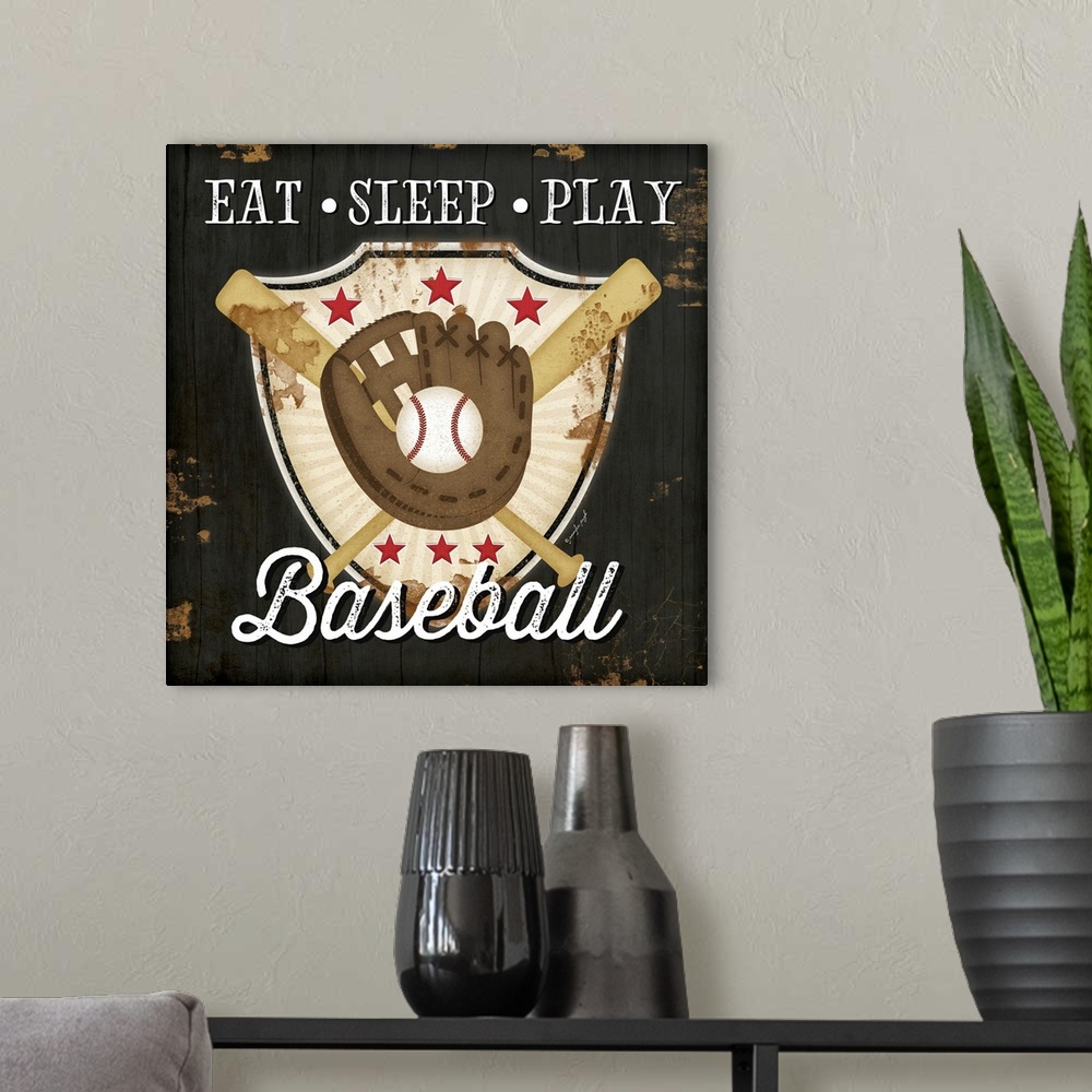 A modern room featuring Eat, Sleep, Play, Baseball