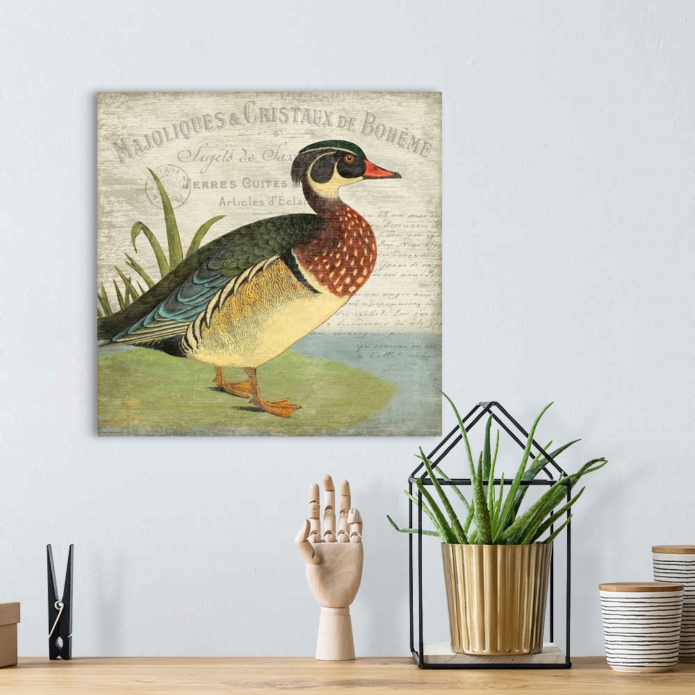 A bohemian room featuring French Duck Motif I