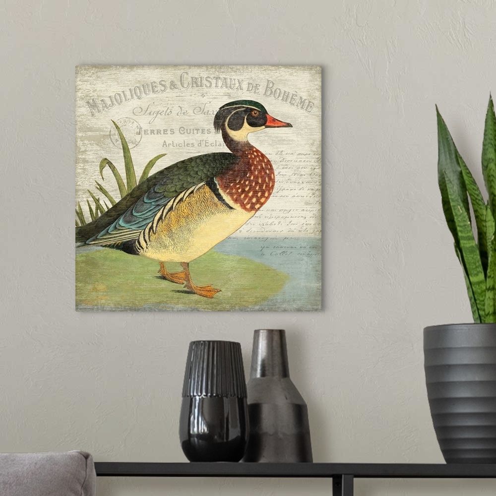 A modern room featuring French Duck Motif I