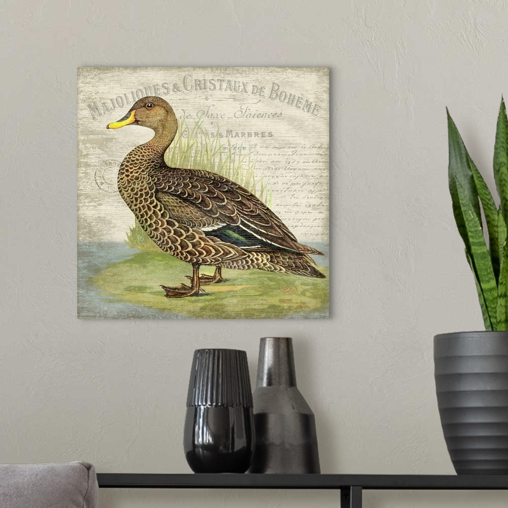 A modern room featuring French Duck Motif II
