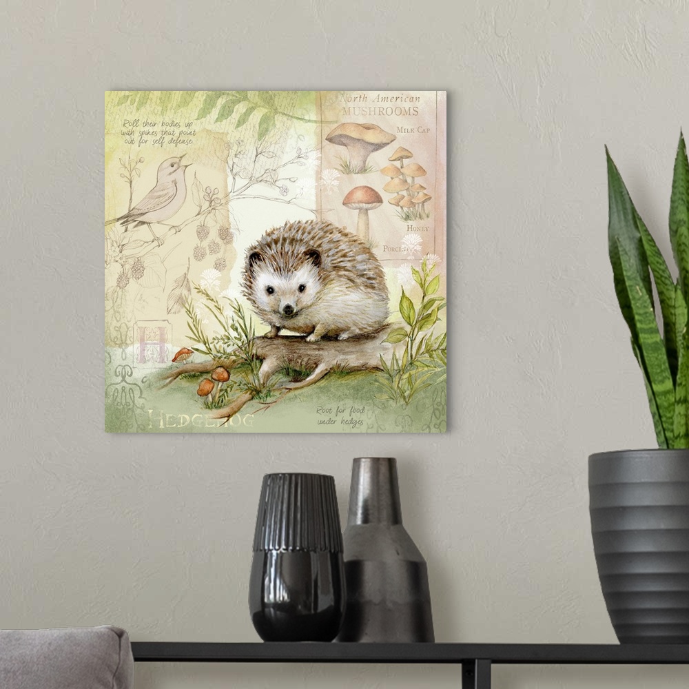 A modern room featuring The hedgehog gets star treatment in this nature botanical.