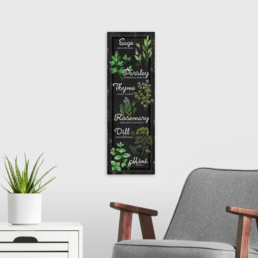 A modern room featuring A digital illustration of a variety of herbs on a distressed black backdrop.