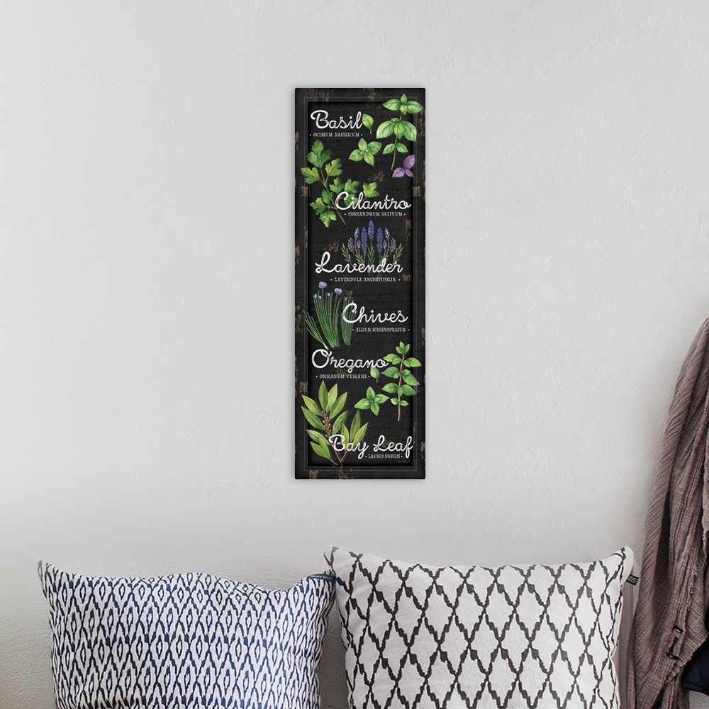 A bohemian room featuring A digital illustration of a variety of herbs on a distressed black backdrop.