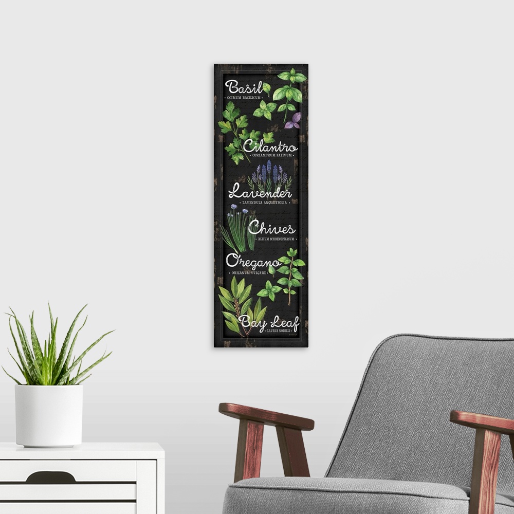 A modern room featuring A digital illustration of a variety of herbs on a distressed black backdrop.