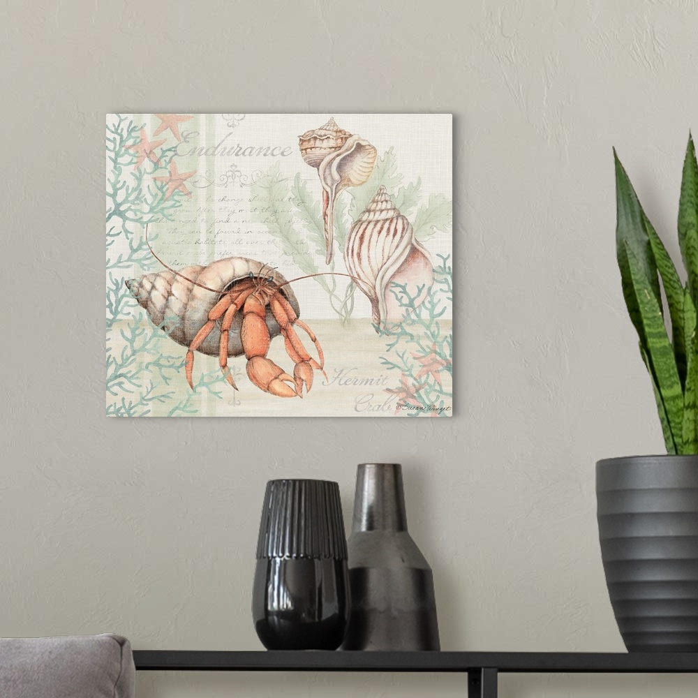 A modern room featuring This crab shell scene brings the coast into your home.