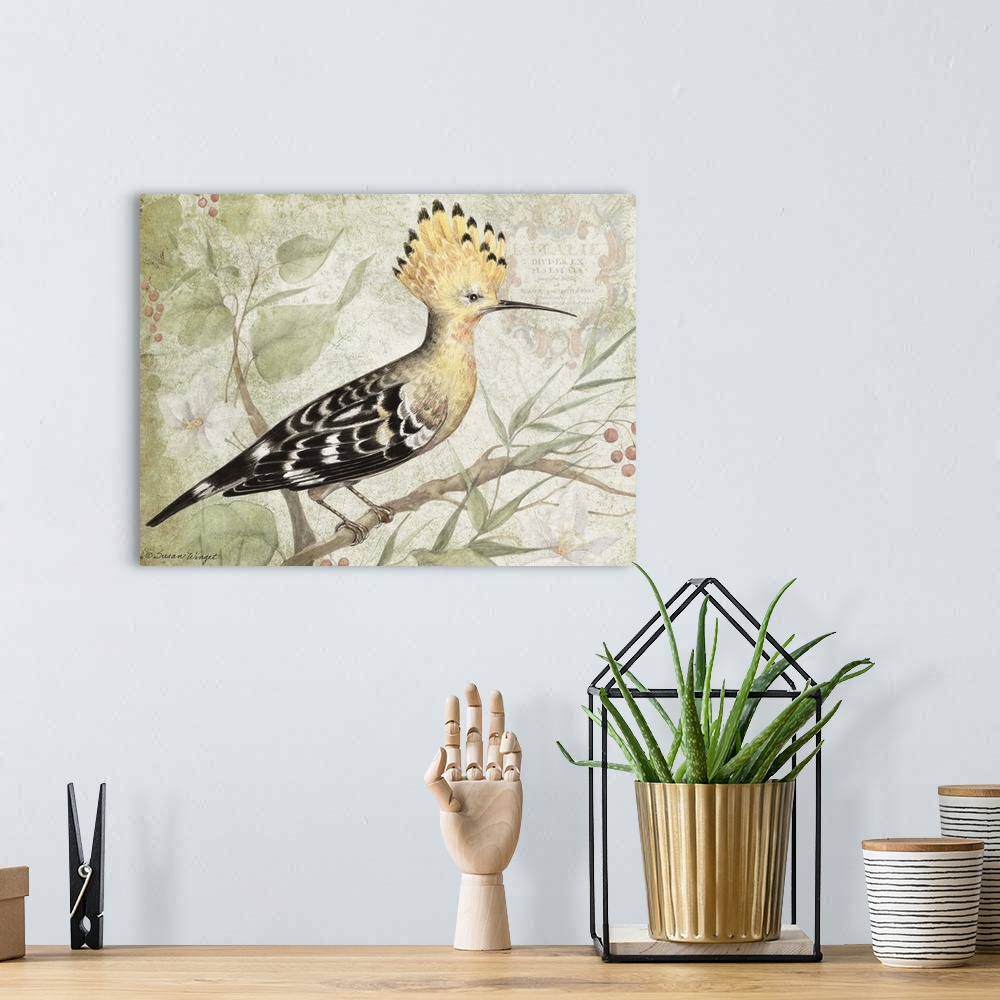 A bohemian room featuring Beautiful, exotic bird brings interest and elegance to any decor