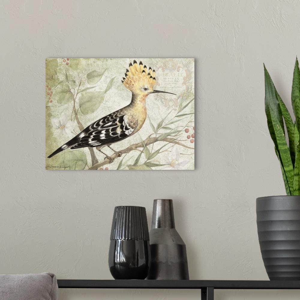 A modern room featuring Beautiful, exotic bird brings interest and elegance to any decor
