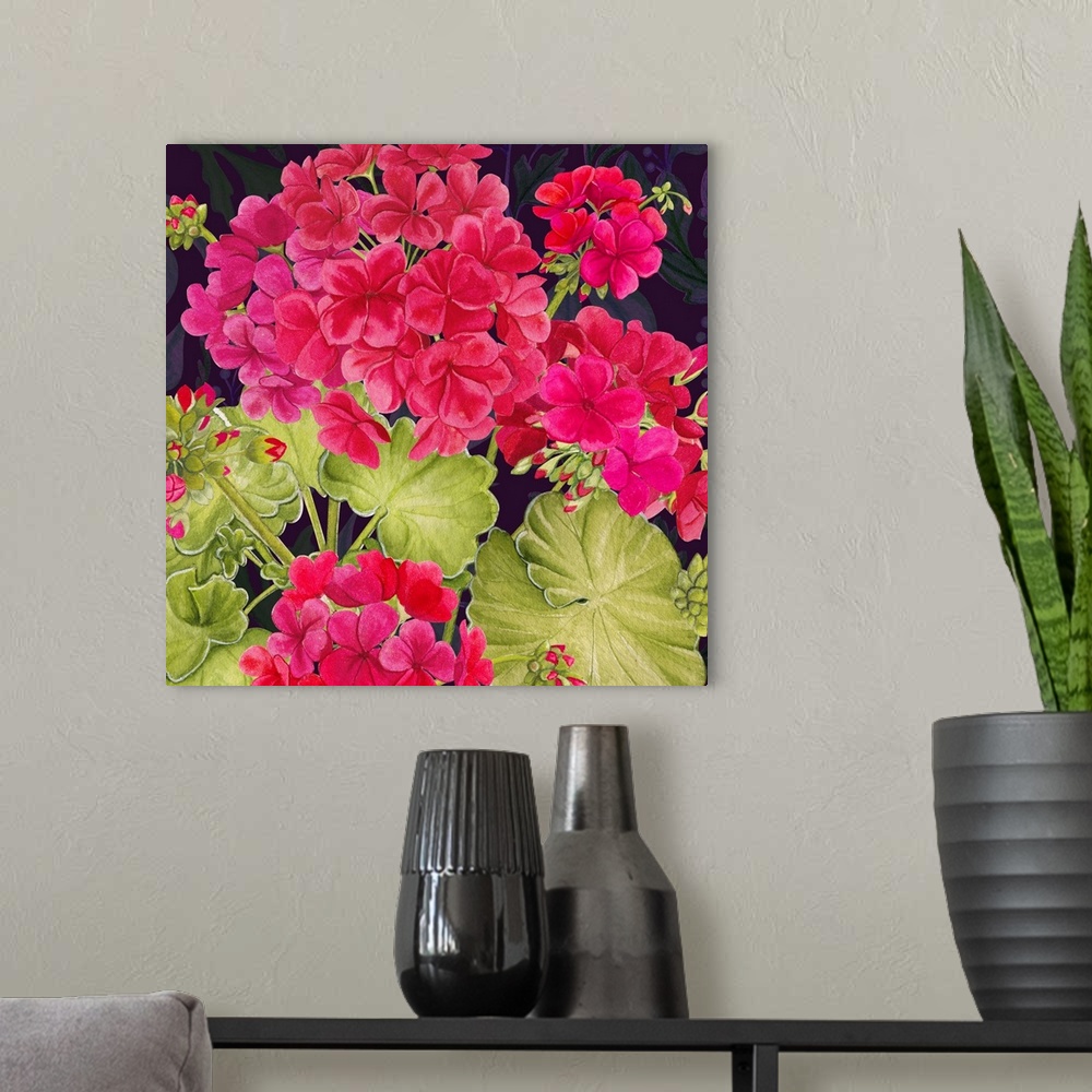 A modern room featuring This richly colored geranium makes a striking design statement.