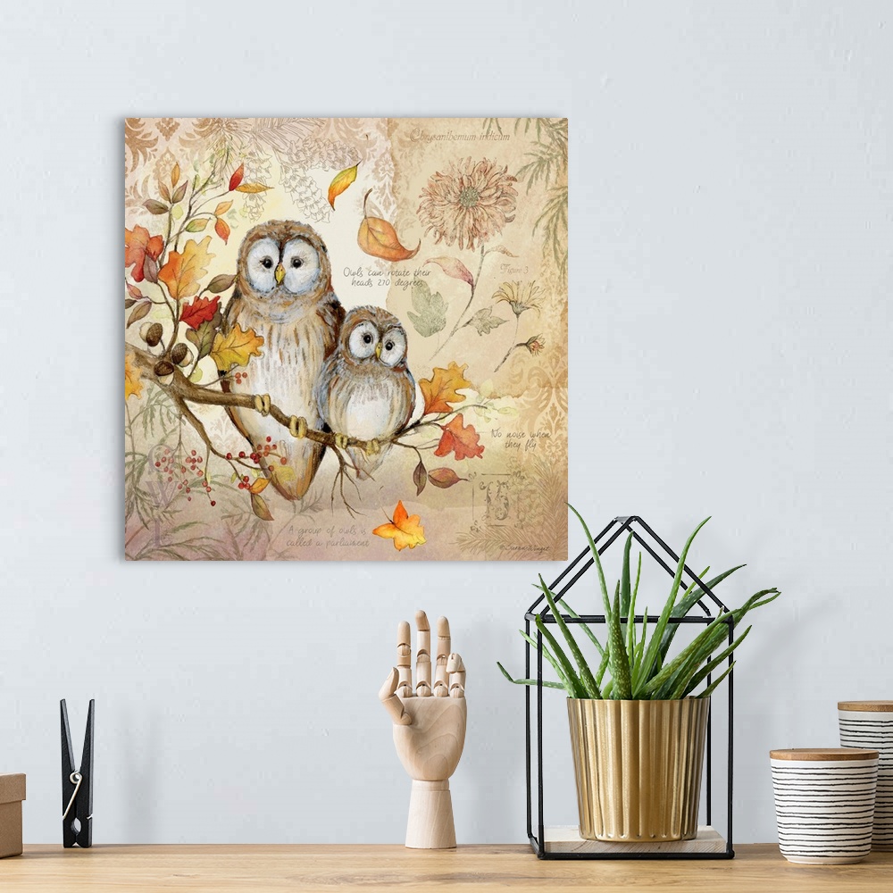 A bohemian room featuring A nature botanical featuring a woodsy owl family!
