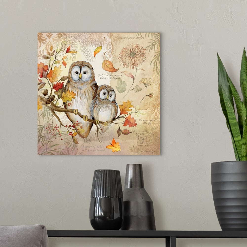 A modern room featuring A nature botanical featuring a woodsy owl family!