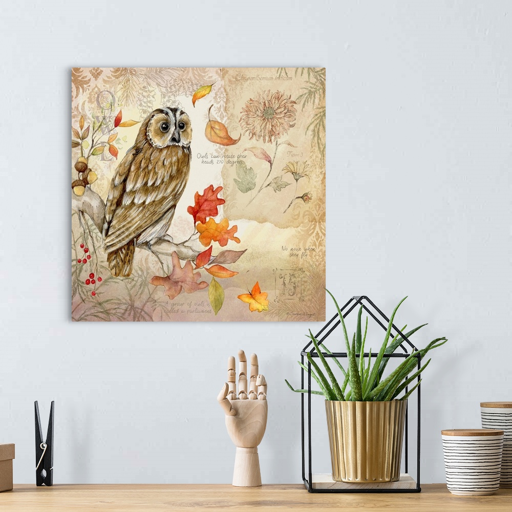 A bohemian room featuring Owls are perrenial favorites.