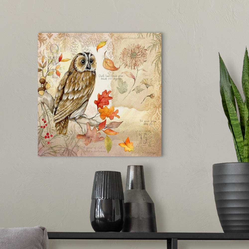 A modern room featuring Owls are perrenial favorites.
