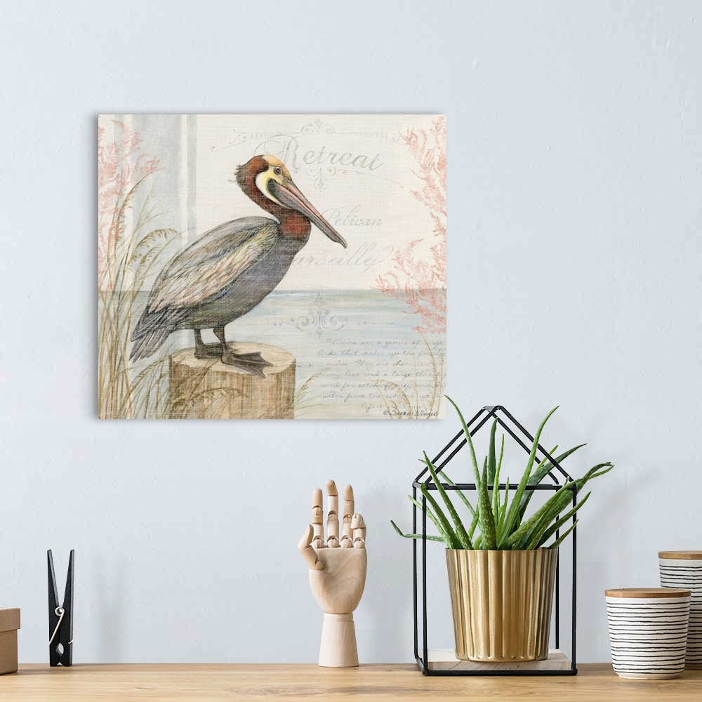 A bohemian room featuring This pelican in a lovely watercolor scene brings the coast into your home.