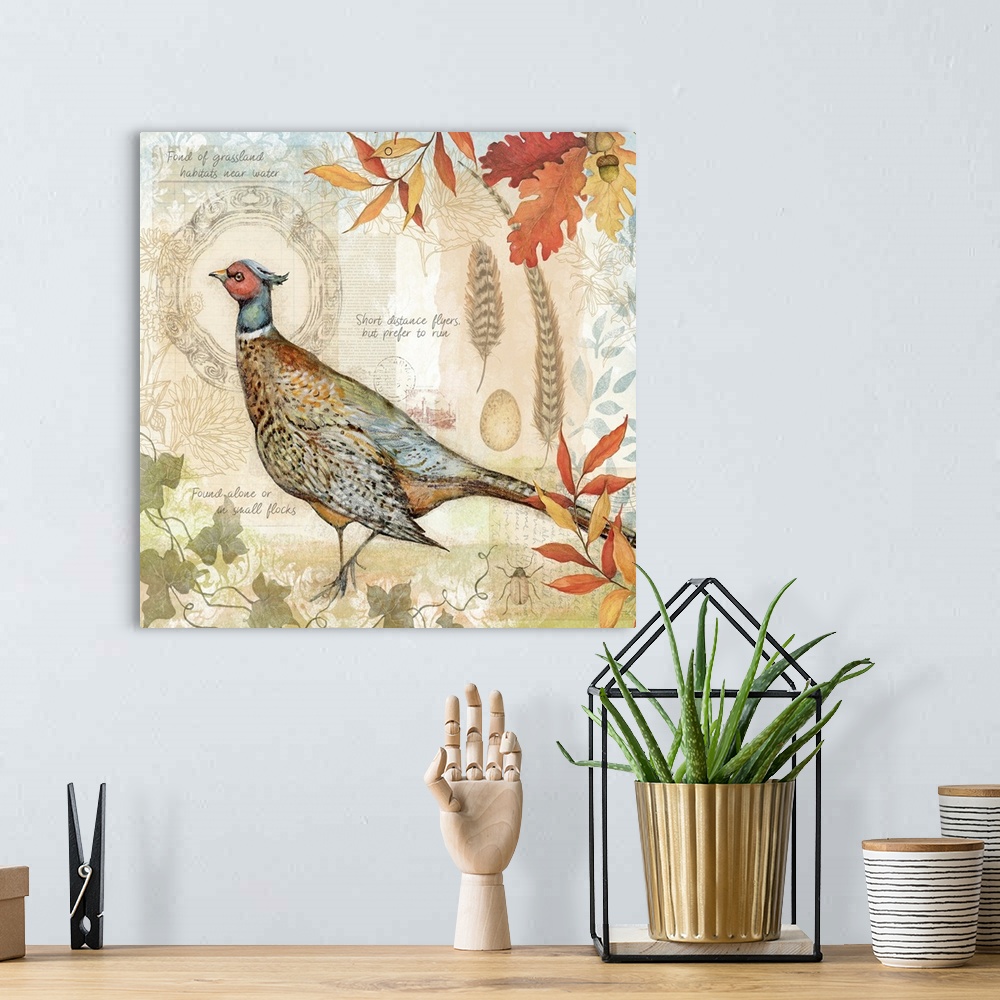 A bohemian room featuring Pheasants capture the harvest mood in this lovely botanical.