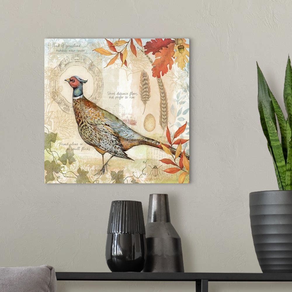 A modern room featuring Pheasants capture the harvest mood in this lovely botanical.