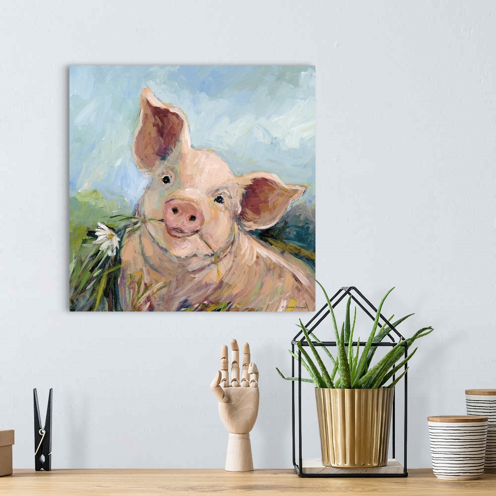 A bohemian room featuring This comely pig enjoys posing with her flower! A fresh country decor look.