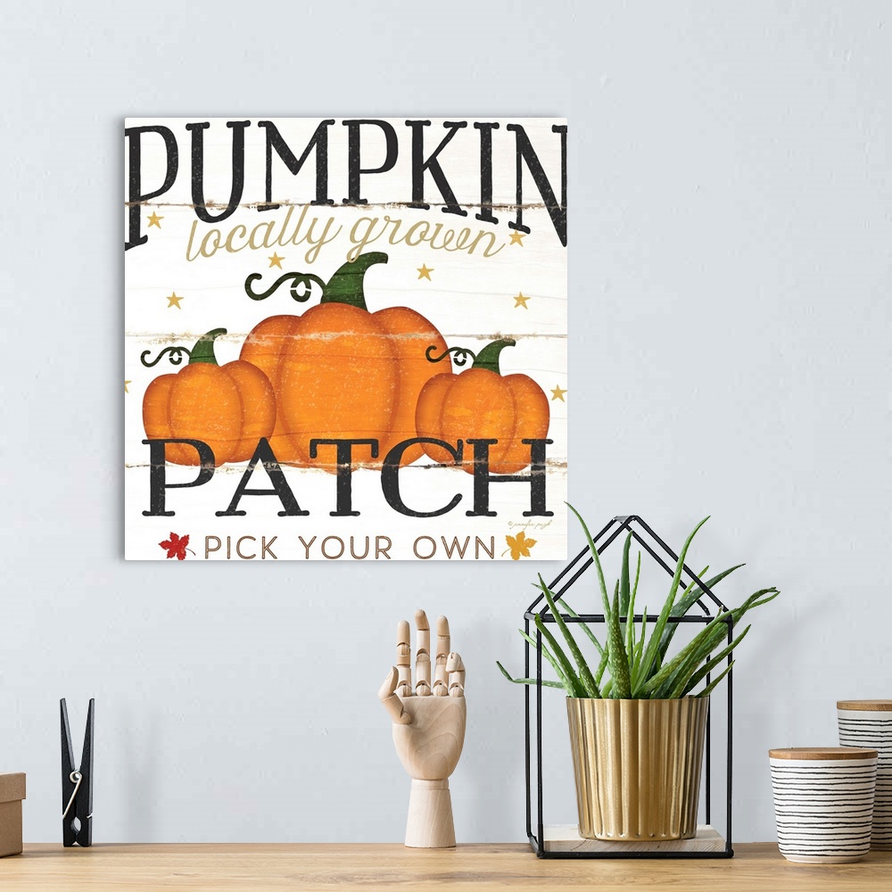 A bohemian room featuring Rustic fall themed decor with the words, "Pumpkin patch, locally grown, pick your own" .
