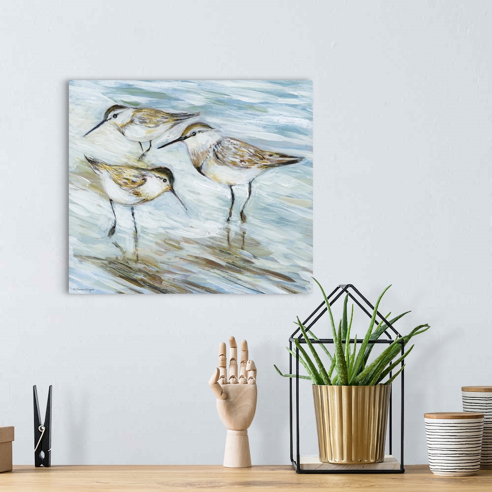 A bohemian room featuring Charming sandpipers enjoy having their seaside setting.