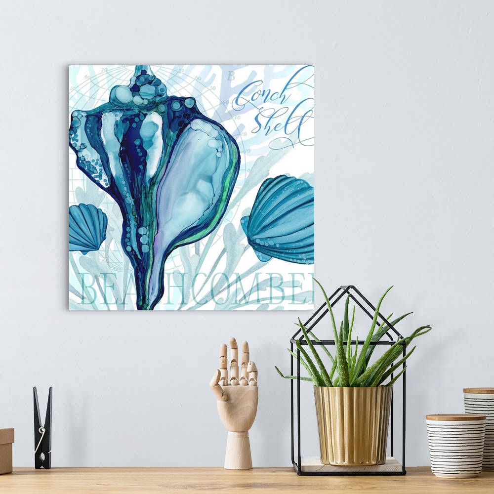 A bohemian room featuring The beauty of ocean life is on display with this blue-toned shell image.