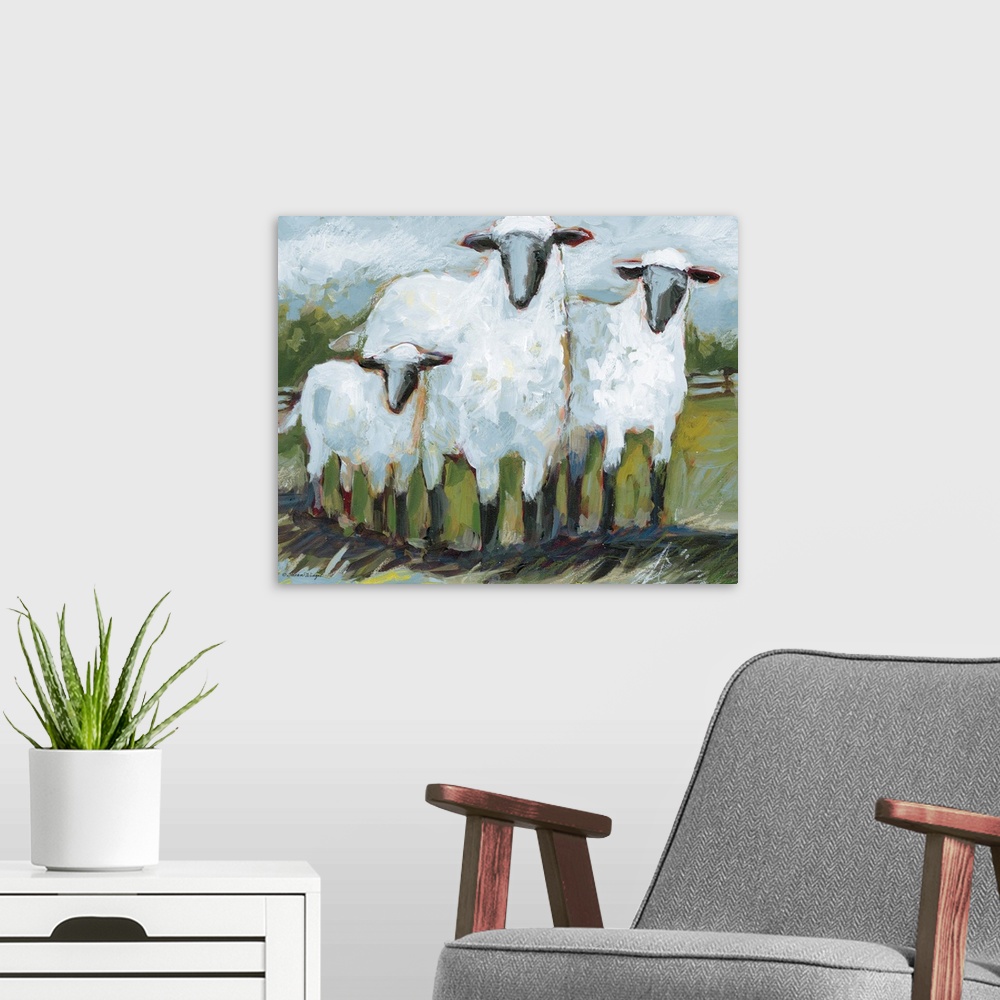 A modern room featuring This sheep trio boldly takes center stage in the field.