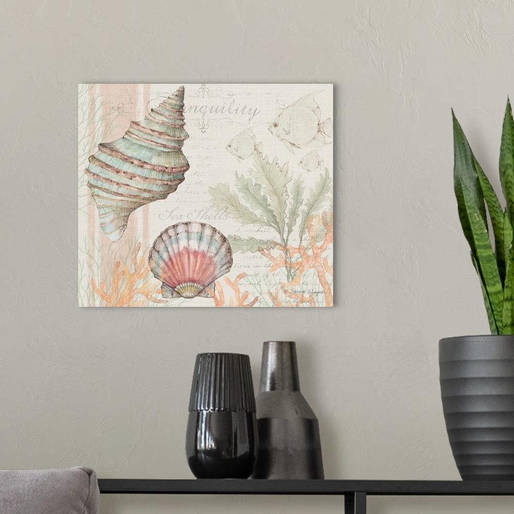 A modern room featuring This shell scene brings the coast into your home.