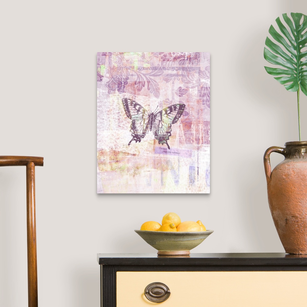 A traditional room featuring Butterflies are given a translucent, gauzy treatment in this lovely chromatic image.