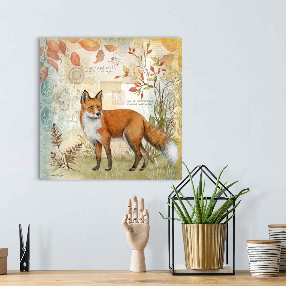 A bohemian room featuring The classic fox is featured in this nature botanical.