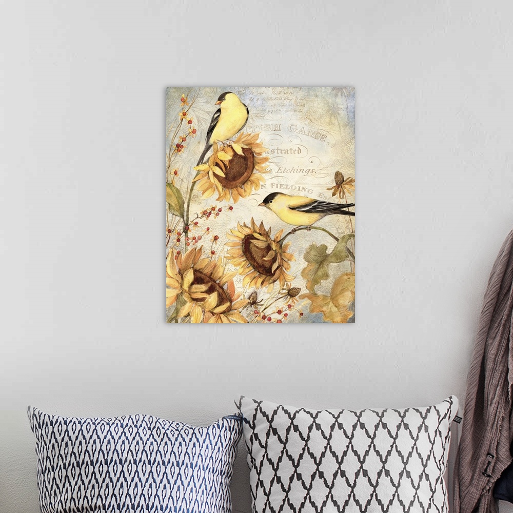 A bohemian room featuring Goldfinches and sunflowers make a perfect combination!
