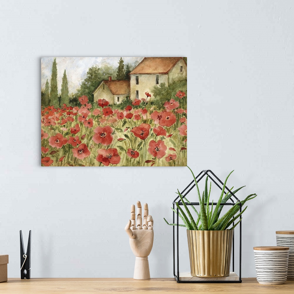 A bohemian room featuring Beautiful Tuscan fields filled with Poppies,