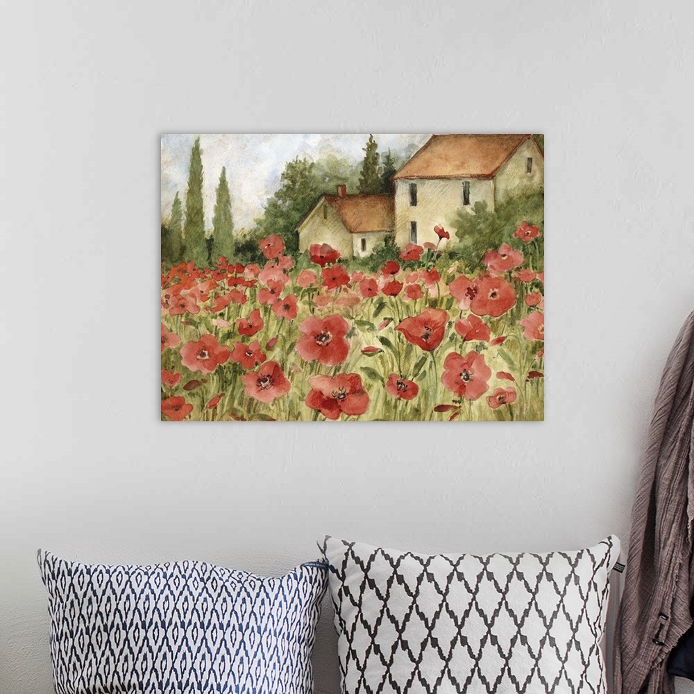 A bohemian room featuring Beautiful Tuscan fields filled with Poppies,
