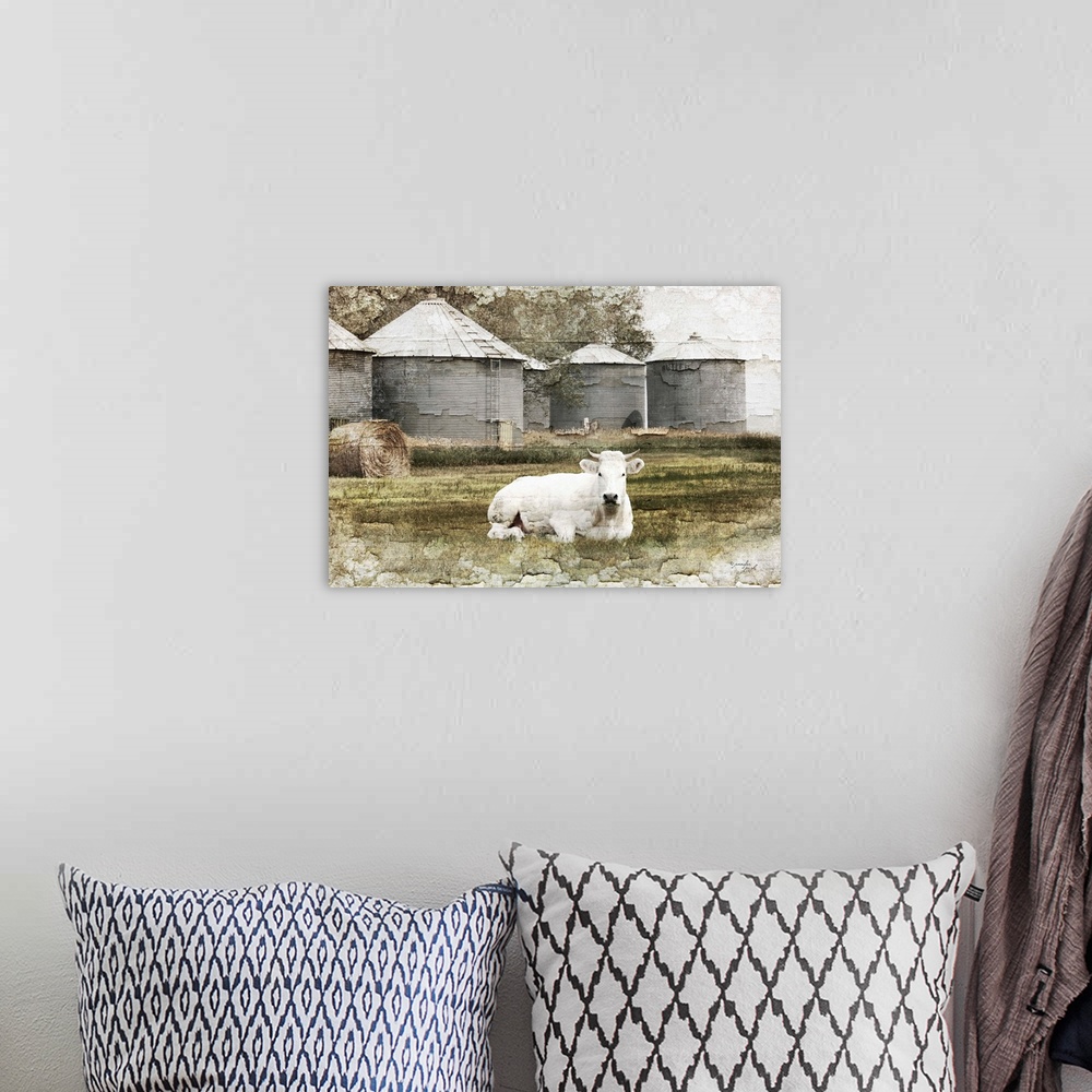 A bohemian room featuring White Cow