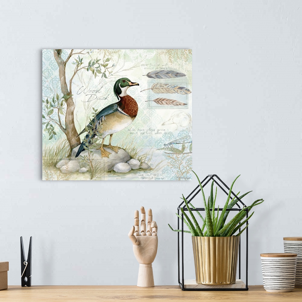 A bohemian room featuring A field guide rendering of a classic wood duck perfect for den or office