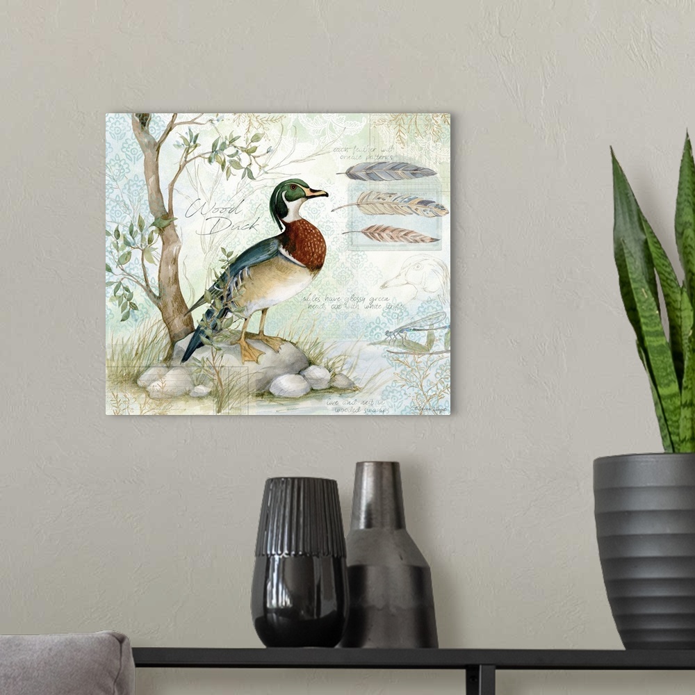 A modern room featuring A field guide rendering of a classic wood duck perfect for den or office