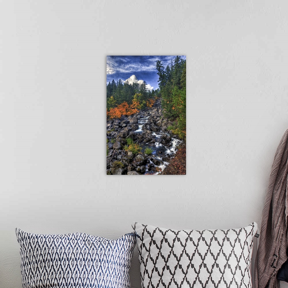 A bohemian room featuring A fall scene of flowing water along the Empqua River in Steamboat, Oregon.